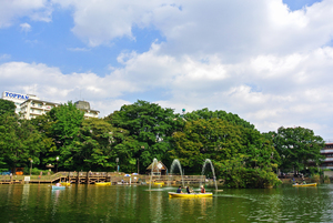 写真：見次公園2