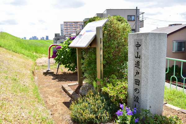 写真：中山道戸田の渡し