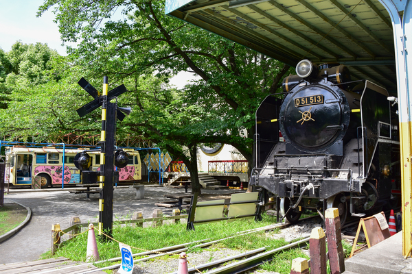 写真：城北交通公園