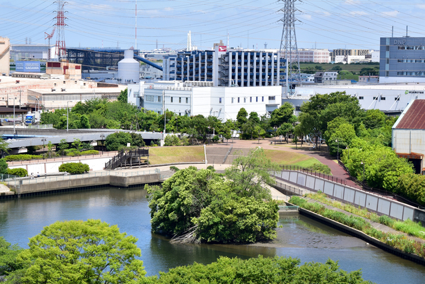 写真：舟渡水辺公園