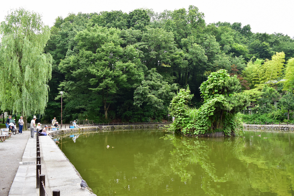 写真：赤塚溜池公園周辺