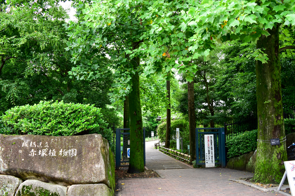 写真：赤塚植物園