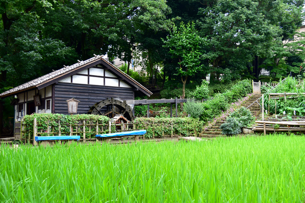 写真：水車公園・徳水亭