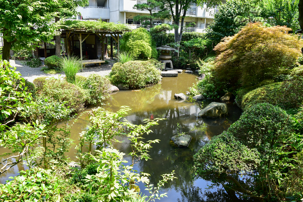 写真：薬師の泉庭園