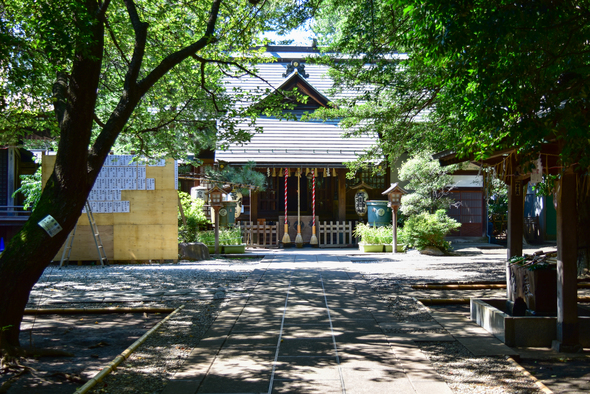 写真：南常盤台天祖神社