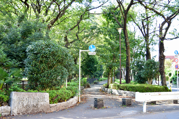 写真：桜川緑道