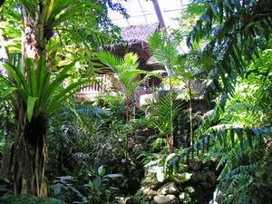熱帯環境植物館の写真