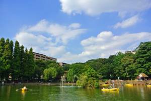 見次公園（志村地区）の写真