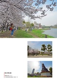 都立浮間公園の桜