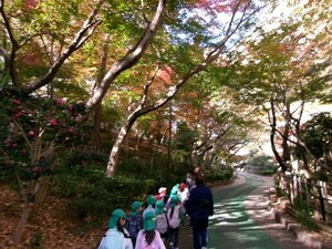 落ち葉探し