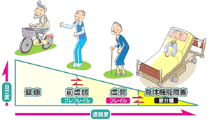 図：フレイルの説明　フレイルは健康と要介護の中間の状態。健康、前虚弱（プレフレイル）、虚弱（フレイル）、要介護の順に虚弱度が高くなる