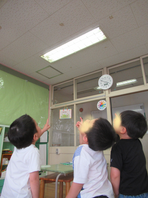 4歳