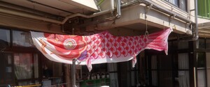 こいのぼり