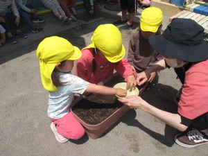 プランターにアサガオの種を植える子ども