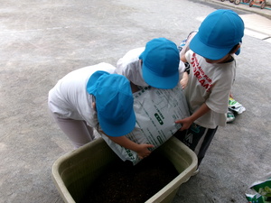 プランターに肥料を入れる5歳児