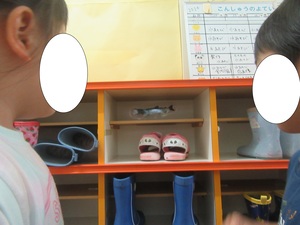 魚探し