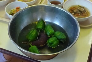 収穫した野菜