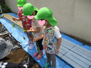 苗持つ