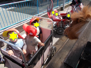 写真:ポニーを見ている1歳児の子どもたち