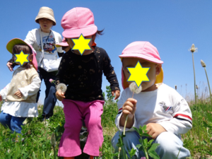 写真:たんぽぽの綿毛を飛ばす2歳児の子どもたち