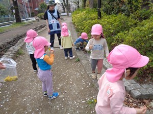 写真：タンポポをとる子どもたち