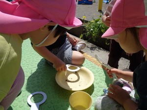 写真：虫眼鏡で虫を観察する子どもたち
