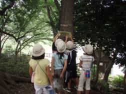 写真2:自然観察ウォークラリーの様子