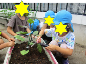 写真:ナスを収穫する5歳児の子どもたち