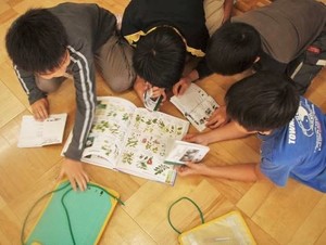 写真2:マイツリーを図鑑で調べる様子