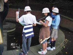 写真1:観測調査の様子