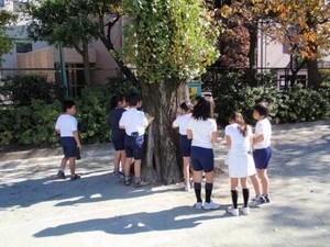 写真1:自分たちの木を探す様子