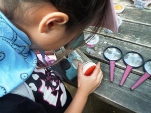 写真2:生きもの観察の様子