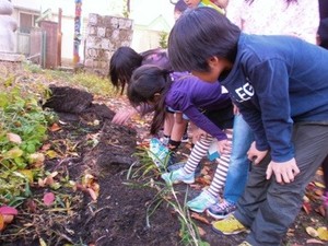 写真2：生きもの探しの様子