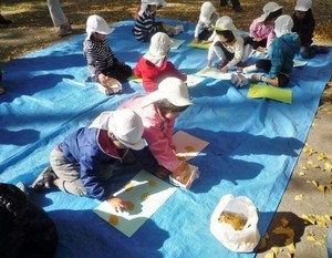 写真1:イチョウの葉で作品作り