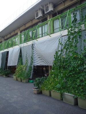 ベランダに遮光ネットを張り日陰を作っています