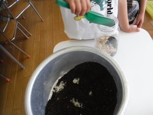 写真：野菜くずと腐葉土と米ぬかを容器に入れています