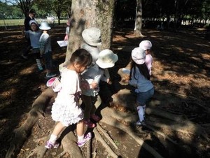 写真1：生きもの探しの様子