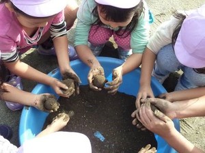 写真1:泥団子を作る様子