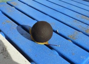 写真2:完成した泥団子