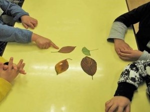 写真1:さわってあてっこゲームの様子