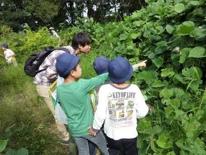 写真1：バッタ広場の探検の様子