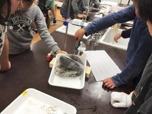 写真2:実験の様子2