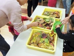 写真1:材料選びの様子