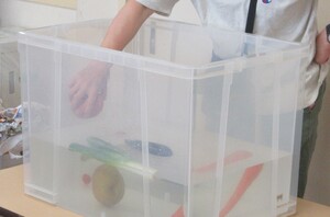 実験の様子