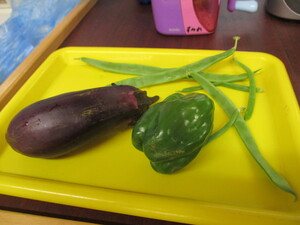 収穫野菜