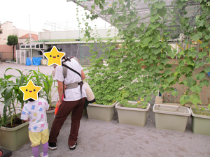 親子で野菜の成長を見ている写真です