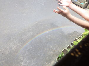 写真 子どもたちが作った虹