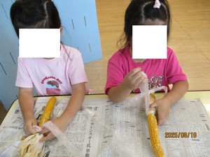 とうもろこしの皮をむいているところ