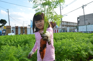 画像：子どもが農業体験する様子2