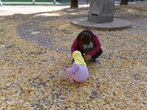 イチョウの葉を拾う2歳児